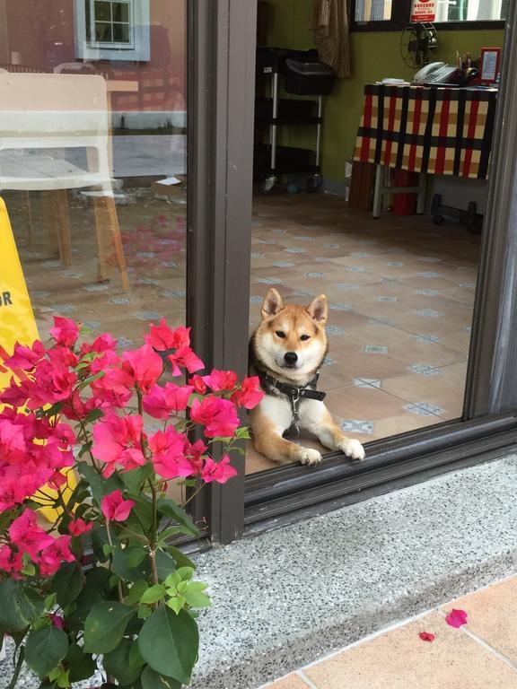 Lei Mi Er Hua Yuan Min Su Apartment Pinghe Luaran gambar